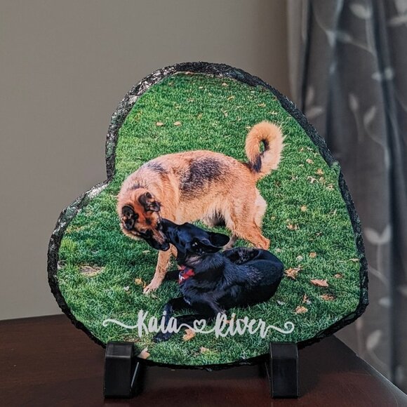 Meet your Posher, Jai - Picture 2 of 2